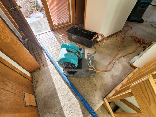 Best Fire Damage Restoration  in East York, PA