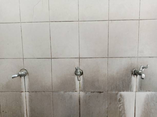 Best Flood damage cleanup  in East York, PA