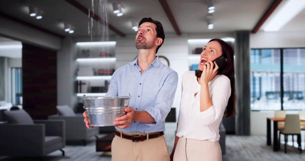 Best Mold removal after water damage  in East York, PA